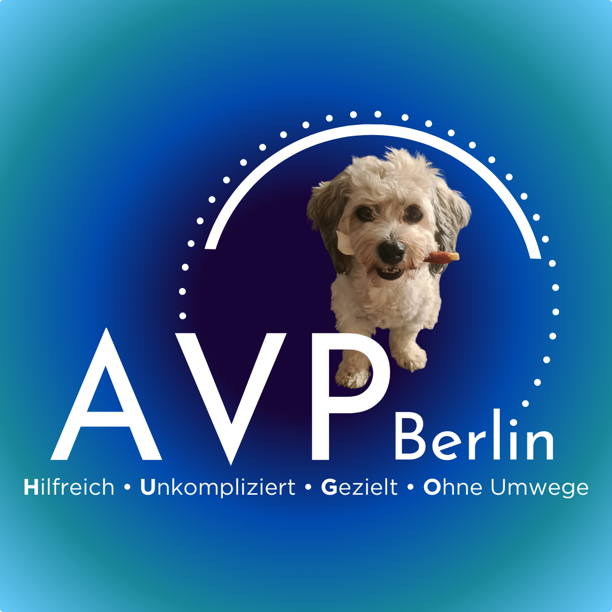 AVP Berlin